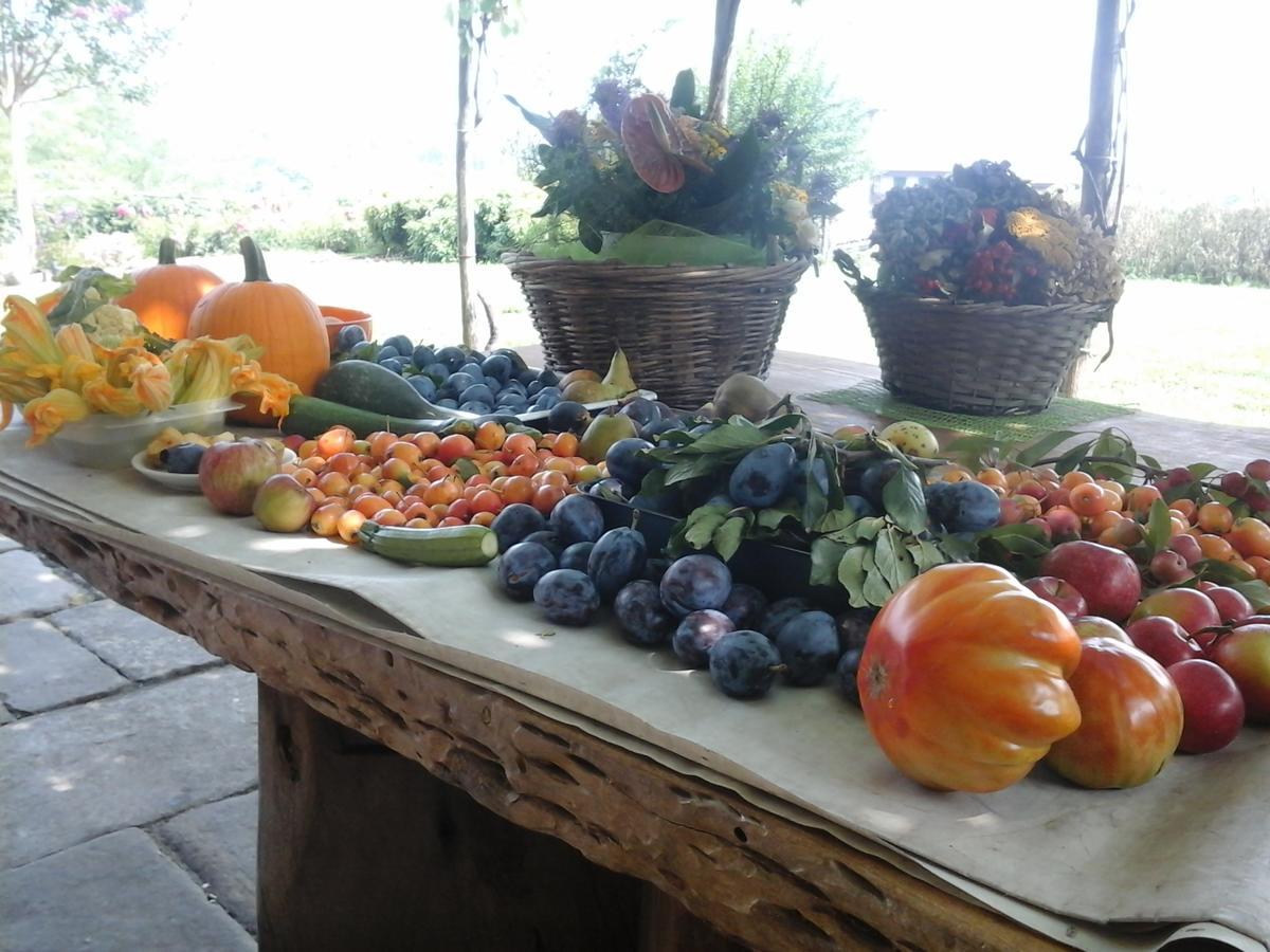 Bio&B Cascina Montebello Palazzago Екстериор снимка
