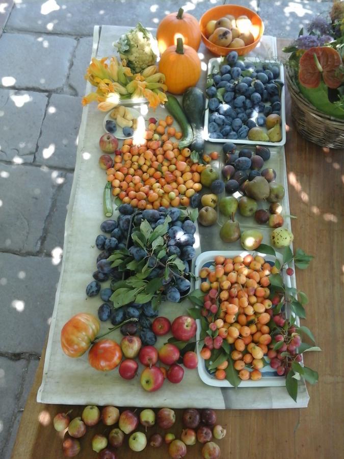 Bio&B Cascina Montebello Palazzago Екстериор снимка