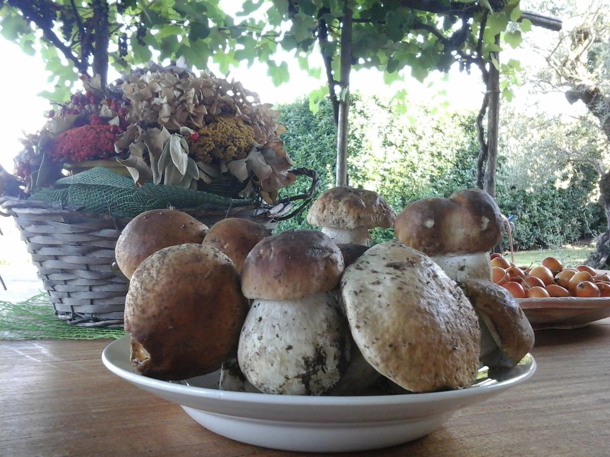 Bio&B Cascina Montebello Palazzago Екстериор снимка